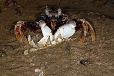 DSC_1135.jpg