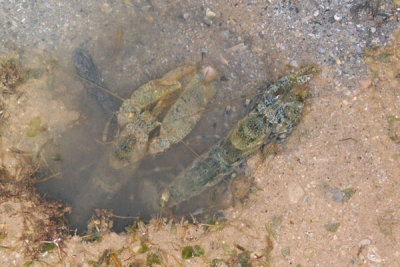DSC_1137.jpg