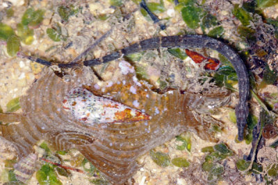 DSC_1140.jpg