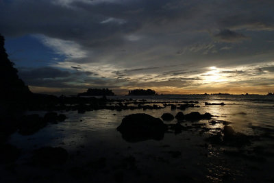 P2110657.jpg