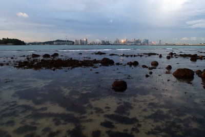 P2110661.jpg