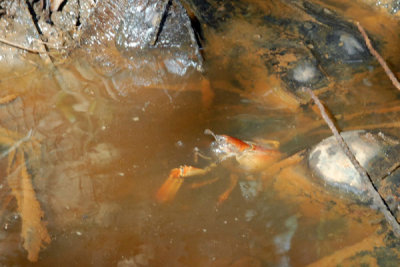 DSC_1146.jpg