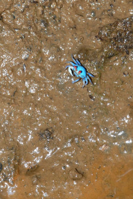 DSC_1154.jpg