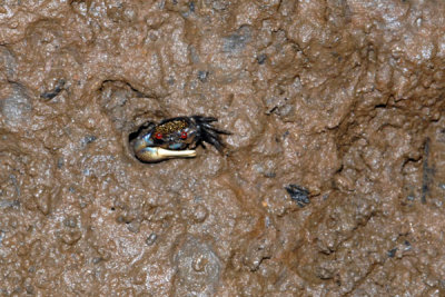 DSC_1156.jpg