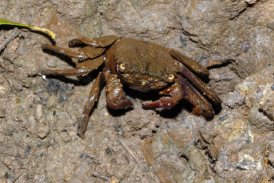 DSC_1159.jpg