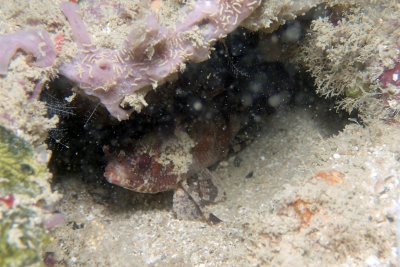 P2240740.JPG