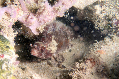 P2240741.JPG
