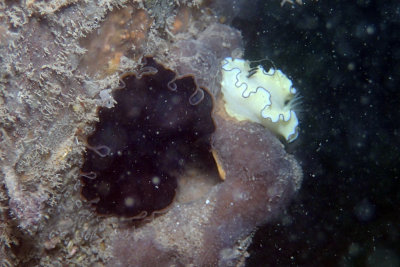 P2240750.JPG
