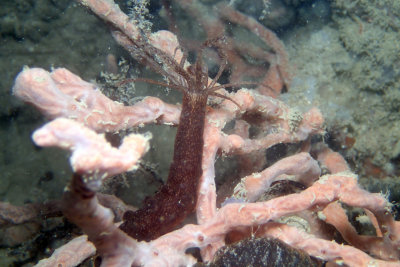P2240751.JPG