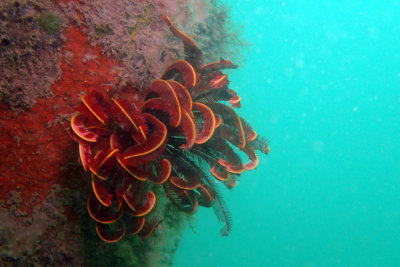P2240762.JPG