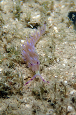 P2240776.JPG