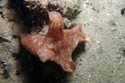 P2240802.JPG