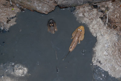 DSC_1214.jpg