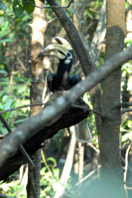 DSC_1225.jpg