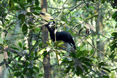 DSC_1232.jpg