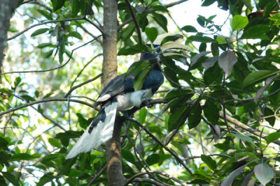 DSC_1239.jpg