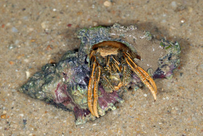 DSC_1275.jpg