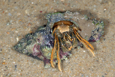 DSC_1276.jpg