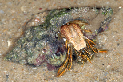DSC_1278.jpg