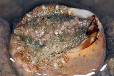 DSC_1282.jpg