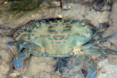 DSC_1285.jpg
