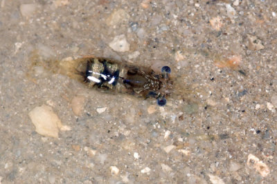 DSC_1291.jpg