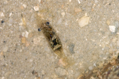 DSC_1292.jpg