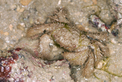 DSC_1296.jpg
