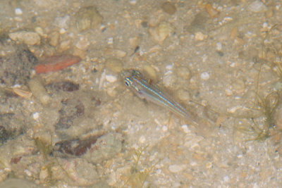 DSC_1298.jpg