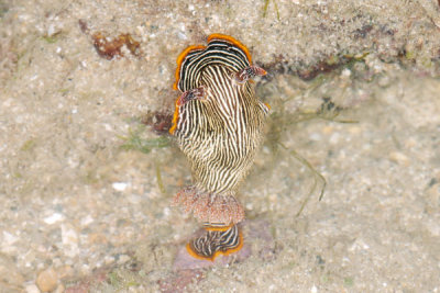 DSC_1316.jpg