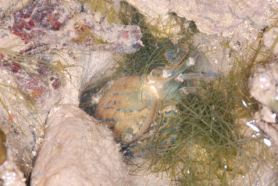 DSC_1319.jpg