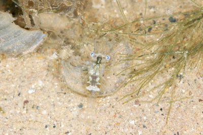 DSC_1327.jpg