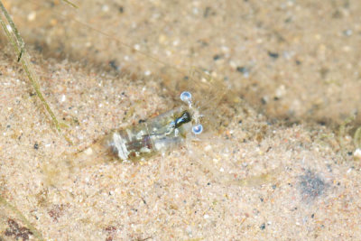 DSC_1329.jpg