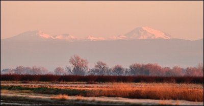 Snow-capped Mountains