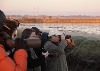 Birders