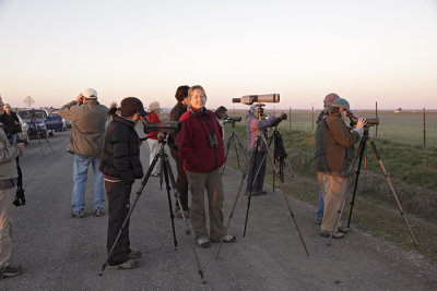 Birders
