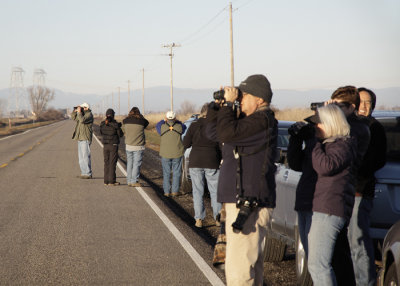 Birders