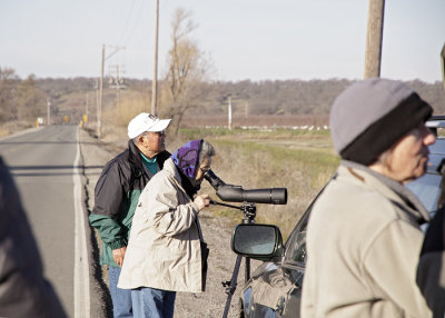 Birders