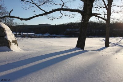 Morning shadows