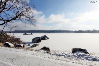 Wintery lake