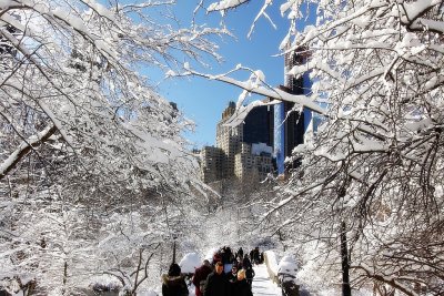 Winter in Manhattan