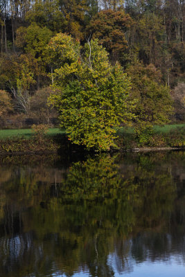 MohawkValleyAlongI90-6388.jpg