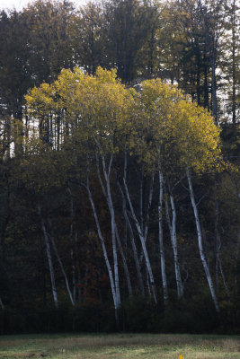 MohawkValleyAlongI90-6397.jpg
