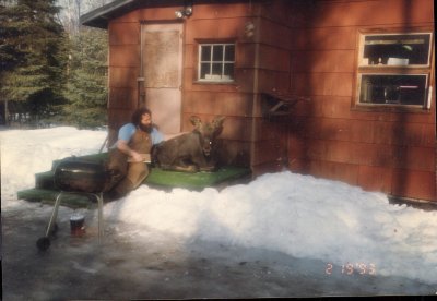 Orphan Moose we raised.