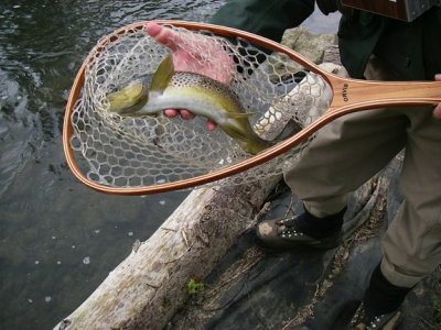 Nice brown trout! 23.jpg