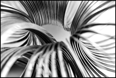 Slinky Study 8