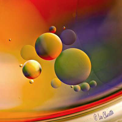 Oil and Water 1