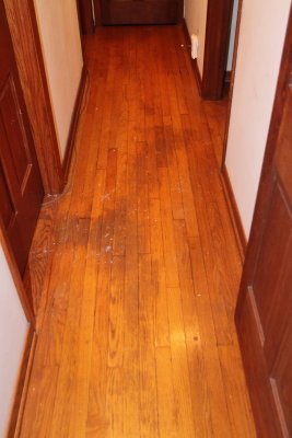 Hall floor stained.JPG