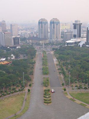 View from the top of Monas