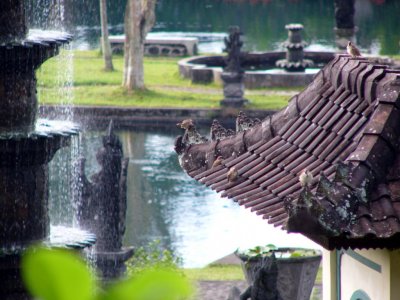Royal Pools, Tirtagangga 